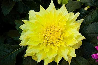 《最终幻想14》惊现“GPU城市” 网友：这是英伟达打造的吧